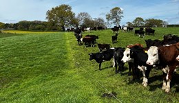 Grazing systems